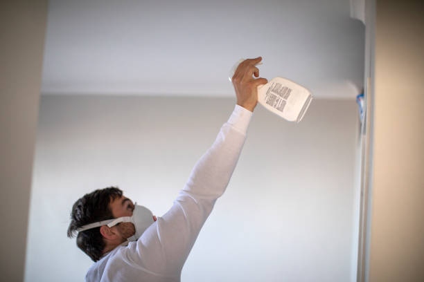 Best Residential Mold Remediation in Bellevue, ID