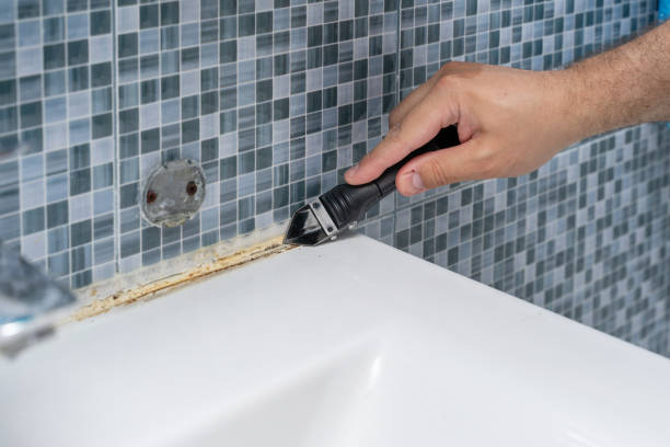 Best Preventive Mold Services in Bellevue, ID
